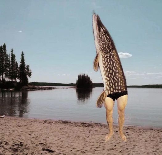 the merman