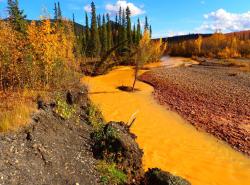 Yukon First Nations investigate orange rivers and wildlife impacts